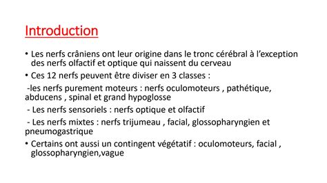 SOLUTION Anatomie Des Nerfs Craniens 2 Studypool