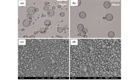 Microstructure Of Hollow Microspheres A OM Image Of Hollow SiO 2