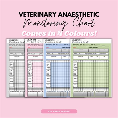 Veterinary Anaesthetic Monitoring Chart Vet Nurse - Etsy