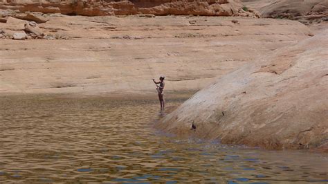 Fishing in Lake Powell | Fly fishing flies trout, Fly fishing, Lake powell