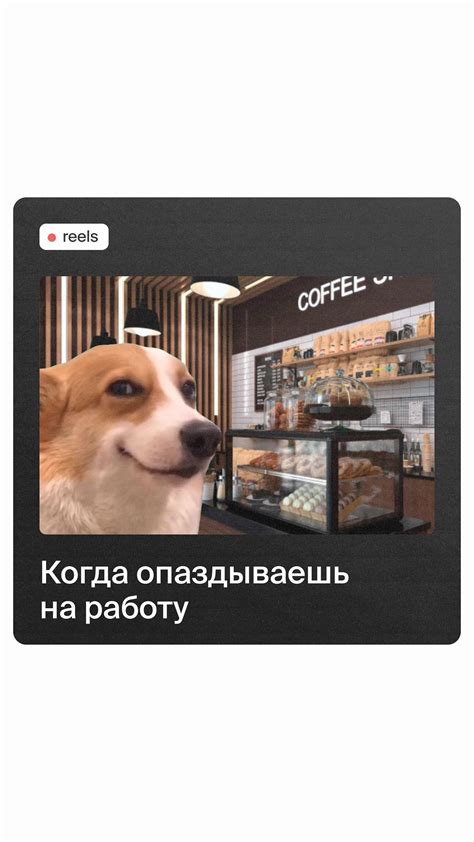 О чиназес сюда | Blogway