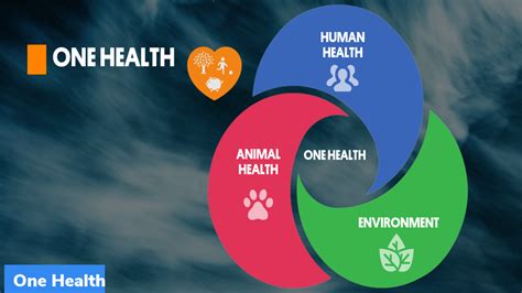 Cop Declaration On Climate And Health Gktoday