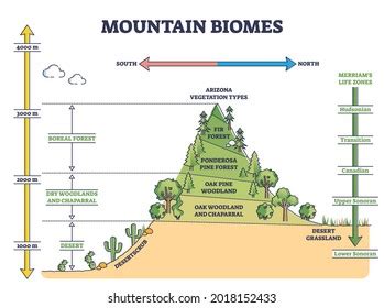 Terrestrial Biome Images Stock Photos Vectors Shutterstock