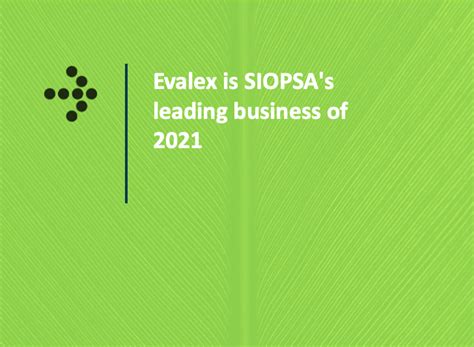 Leading Business 2021 Evalex
