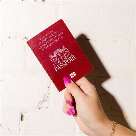 Teddy Bear Passports