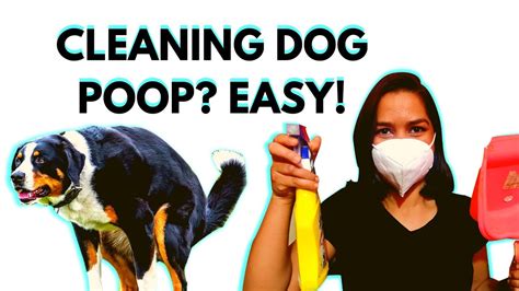 How Do You Clean Puppy Poop