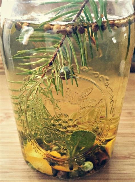 Homemade Infused Gin Foraged Botanical Winter Spirits Recipe