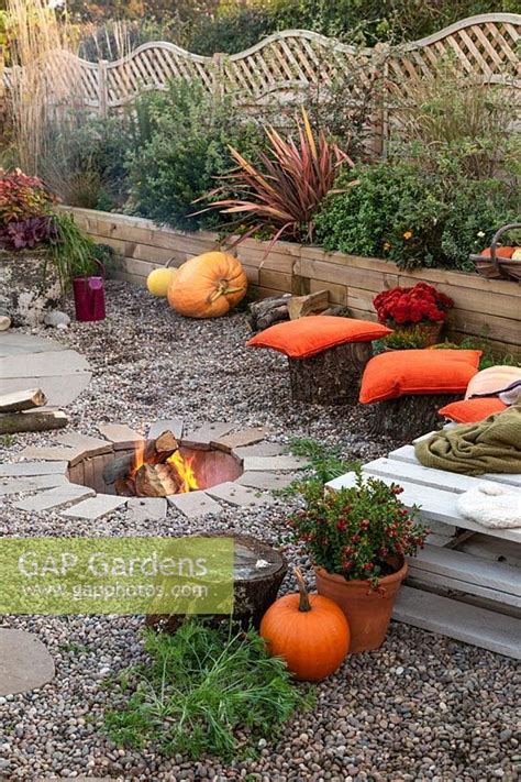 Fertige Feuerstelle Im Herbst In Use Plant Photography Pumpkin Patch