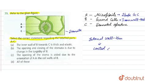 Refer To The Given Figureselect The Correct Statement Regarding The