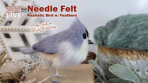 Needlefelting LIVE Needle Felt A Realistic Bird With FEATHERS