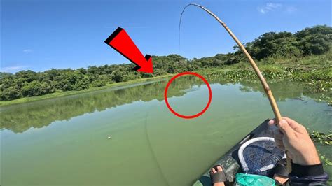 PESCARIA RAIZ DE TRAÍRA E TUCUNARÉ GIGANTE NO BRAÇO DO RIO TIETÊ É SÓ