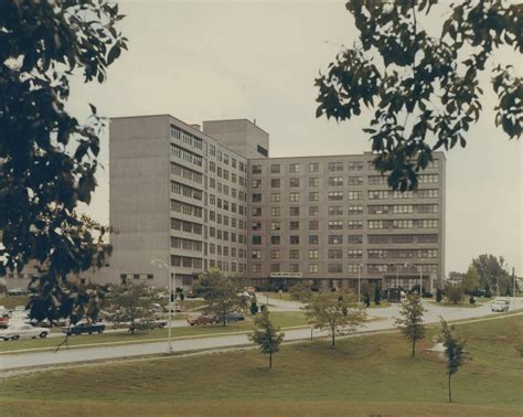 Historians explain what is really kept hidden deep inside fort knox 20