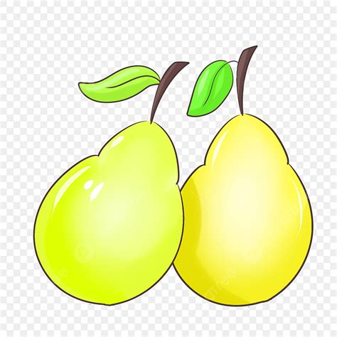 Pear Fruit Clipart Vector Fruit Pear Cartoon Illustration Yellow Pear