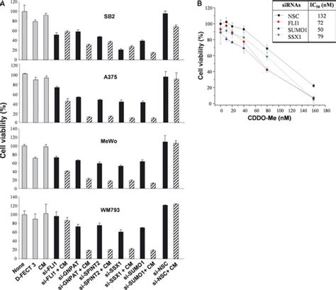 The Effect Of Knockdown Of Gnpat Sumo Spint Fli Or Ssx On Cell