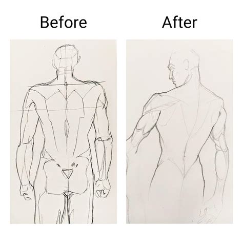 Male Upper Body Drawing