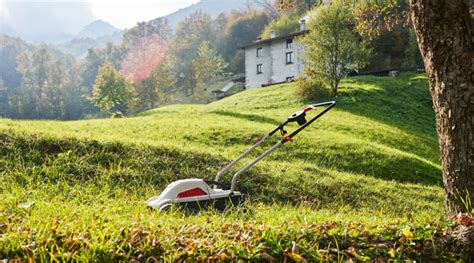 Bedste Buskrydder Batteri I Test Renoveringslanddk