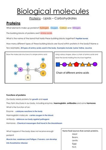 Biological Molecules Worksheet Igcse Biology Teaching Resources