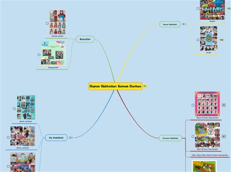 Hayvan Habitatlar Kavram Haritas Mind Map