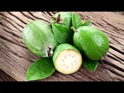 Feijoa Le Propriet Nutrizionali Del Frutto Youtube