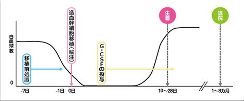 造血幹細胞移植の実際： 国立がん研究センター がん情報サービス 一般の方へ