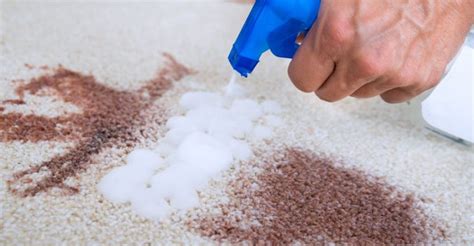 Stubborn Carpet Stains And How To Remove Them Smart Choice