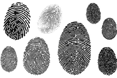 Vector Black Isolated Fingerprint On White Background Vector