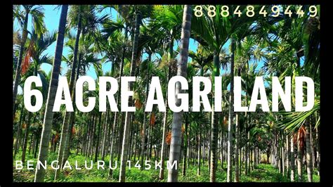 Acre Arecanut Coconut Farm Channel Water Km Nh Km Bengaluru