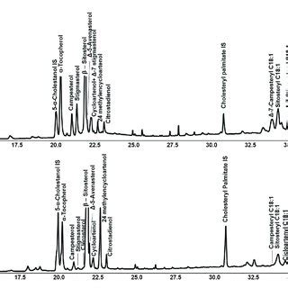 Spe Gc Fid Chromatograms Of Tms Free And Esterified Hmc Profiles Of