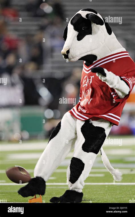 Chick fil a cow mascot hi-res stock photography and images - Alamy