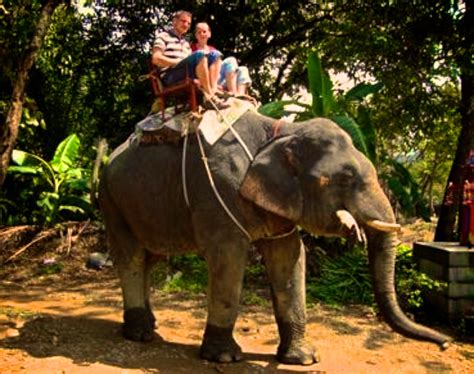 Elephant Trekking