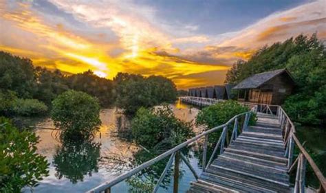 Taman Wisata Alam Mangrove Angke Kapuk Trentravel