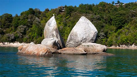 Abel Tasman Coast Track - Tasman, New Zealand - Tramposaurus • Tramposaurus