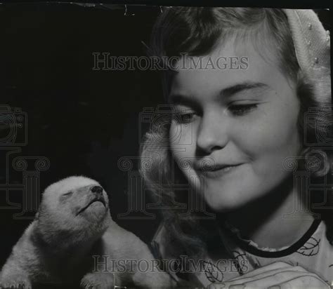 1955 Press Photo Cumulus The Polar Bear Cub In The Washington Park Zoo