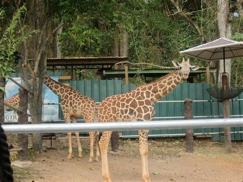 חוות דעת על ‪emperor Valley Zoo‬ פורט אוף ספיין טרינידד וטובאגו