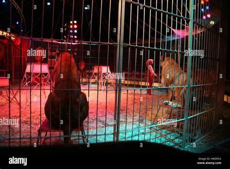 Lion Tamer At Circus Renz Stock Photo Alamy