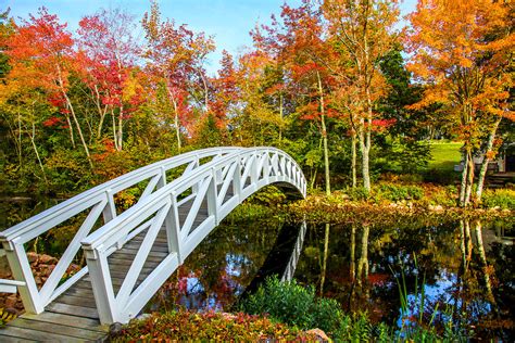 Essential Weekend Guide To Acadia National Park And Bar Harbor Maine