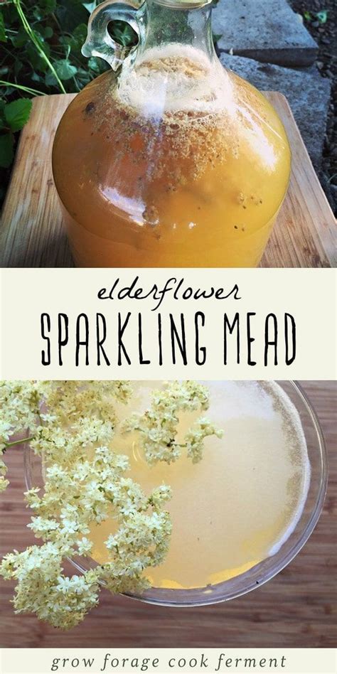 Elderflower Sparkling Mead Recipe Mead Recipe Recipes
