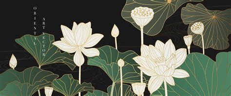 Luxury Oriental Flower Background Vector Elegant White Lotus Flowers