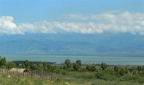 Saltwater Crocodiles Live In Rising Lake Enriquillo Video Lake