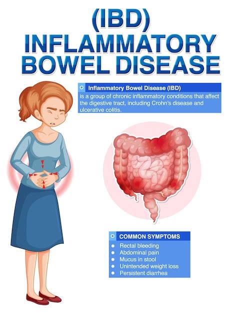 Enfermedad Inflamatoria Intestinal Eii Infograf A Vector Gratis