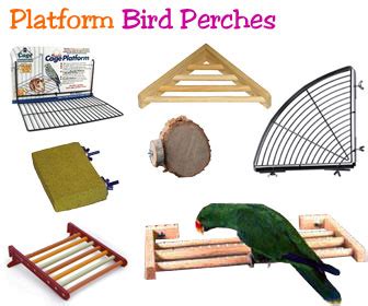 Perch Factory | Corner Bird Shelf Perch - Parrot Platform Perches