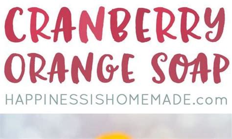 Minute Diy Cranberry Orange Soap Fashion Daily