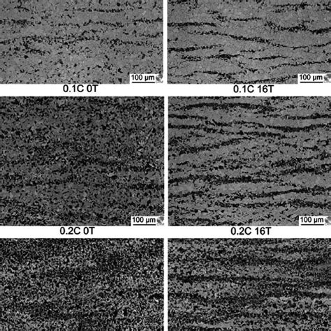 Optical Micrographs Showing The Ferrite Pearlite Microstructures