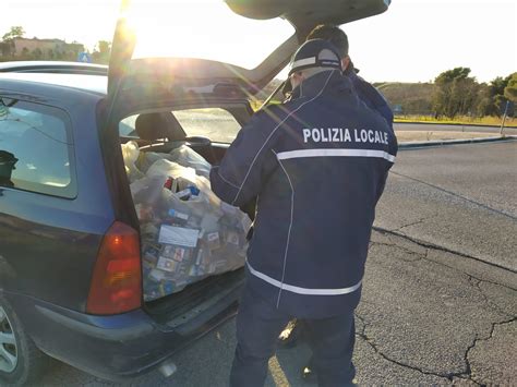 Ardea Sequestrate Dalla Polizia Locale Oltre 2000 Confezioni Di