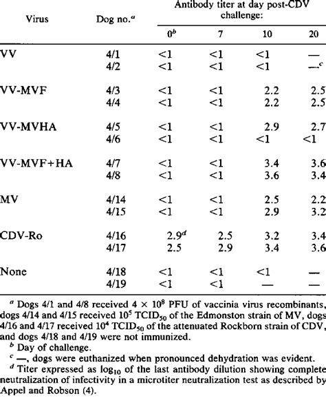 Cdv Neutralizing Antibody Titers After Challenge With 104 Tcid50 Of The Download Table