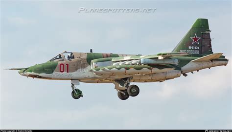 Rf Russian Federation Air Force Sukhoi Su Bm Photo By Andrei