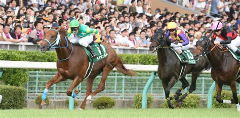 【アイビスsd】ライオン、新潟3戦3連勝千直キングだ― スポニチ Sponichi Annex ギャンブル