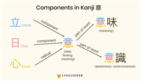 Kanji Radicals: The Cornerstone of Kanji Mastery - LingoDeer