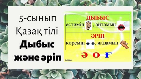 5-сынып, қазақ тілі. Дыбыс және әріп. - YouTube