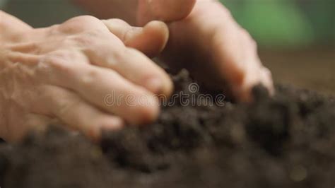 Gardener Putting Seeds In The Ground Man Farmer Hand Sowing Seeds